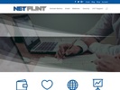 netflint.com
