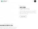 vizergy.com