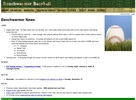 benchwarmerbaseball.com